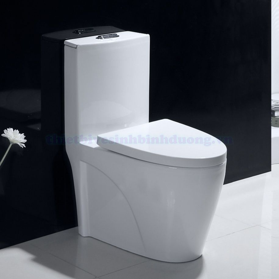 Bồn cầu sứ Canary CA-C01